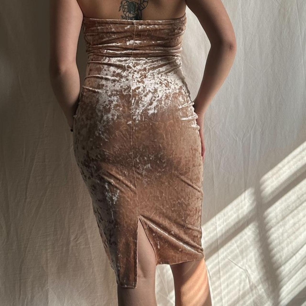 Nwot ladies crushed velvet dress